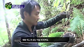 30년 된 산삼, 그 놀라운 가격은