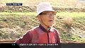 장아찌 받았다가 과태료 폭탄?