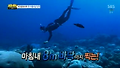 집념의 임시완, 8m 프리다이빙
