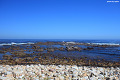 [남아공 여행] 희망봉(Cape of Good Hope), 자연과 역사가 한곳에