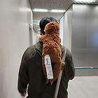 프로필사진