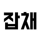 프로필사진