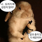 프로필사진