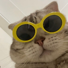 프로필사진
