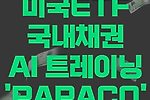 서학개미들의 선택(미국ETF, 국내채권, AI트레이닝, PAPACO)