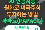 AI 인공지능 자동화매매 이용 원화로 미국주식 투자하는 방법(파파코, PAPACO)