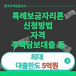 특례보금자리론 신청방법(신청자격, 주택담보대출 등)