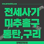 전세사기(미추홀구, 동탄, 구리, 부산 정부대책방안)