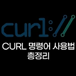 CURL 명령어 사용법 총정리
