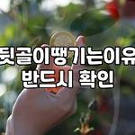 프로필 로고