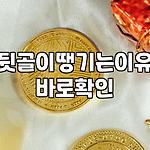 프로필 로고