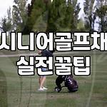 프로필 로고