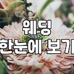 프로필 로고