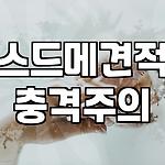프로필 로고