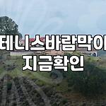 프로필 로고