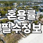 프로필 로고