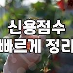 프로필 로고