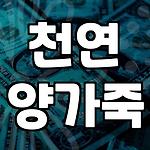 프로필 로고