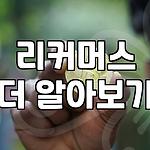 프로필 로고