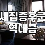 프로필 로고