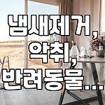 프로필 로고