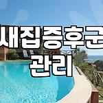프로필 로고