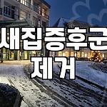 프로필 로고