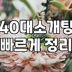 프로필 로고