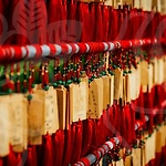 프로필 로고