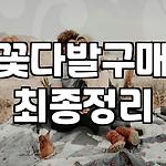 프로필 로고