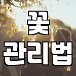 프로필 로고