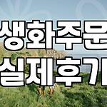 프로필 로고