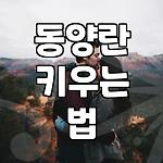 프로필 로고