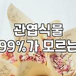 프로필 로고