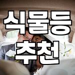 프로필 로고