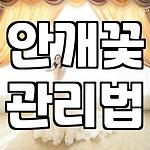 프로필 로고