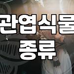프로필 로고
