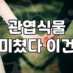 프로필 로고