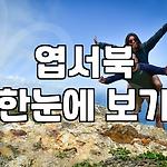 프로필 로고