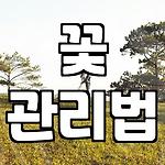프로필 로고