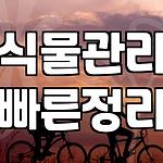 프로필 로고