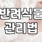 프로필 로고