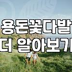 프로필 로고