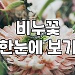 프로필 로고