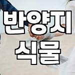 프로필 로고
