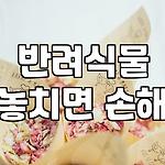 프로필 로고
