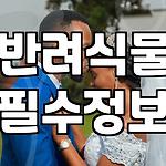 프로필 로고