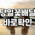 프로필 로고