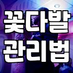 프로필 로고