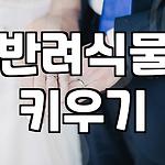 프로필 로고